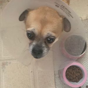 Meet your Posher, Charlotte